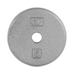 CAP STANDARD CAST IRON PLATE – GRAY – 5 LB 1