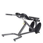 A993 45 DEG BACK HYPEREXTENSION