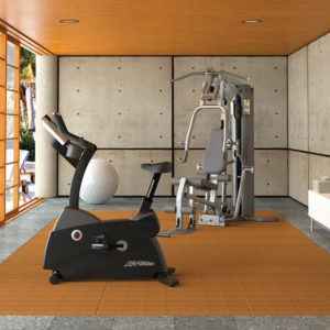 Life Fitness C3 Lifecycle Exercise Bike With Go Console