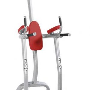CF-3962-A FITNESS TREE - Image 12