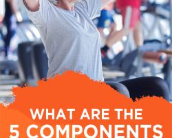 5 health related components