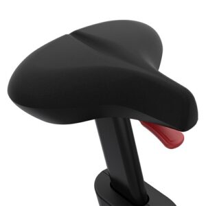 Life Fitness Club Series Plus Upright Lifecycle® Bike