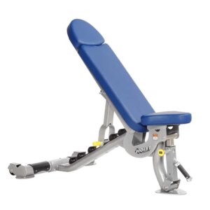 FLAT / INCLINE BENCH