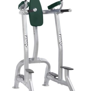 VERTICAL KNEE RAISE/DIP - Image 7