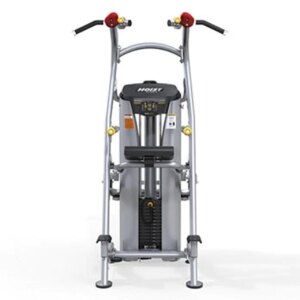 CHIN-UP / DIP ASSIST