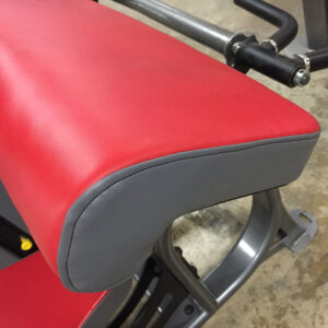 Inflight Fitness Custom Colored Upholstery - Image 2