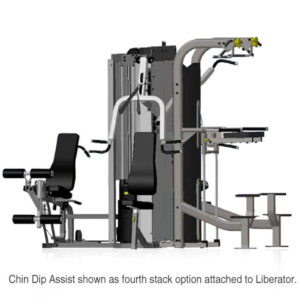 Inflight Fitness Chin/Dip Assist - Image 1