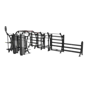 SEVEN ELEMENT FUNCTIONAL BRIDGE