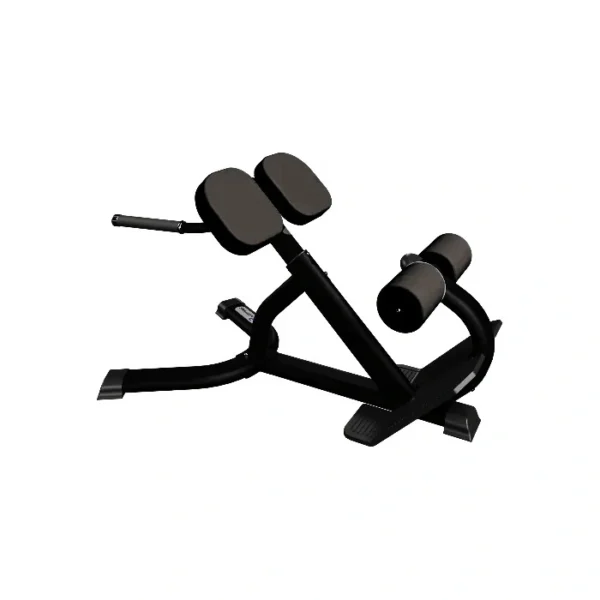 45 Degree Back Extension Bench