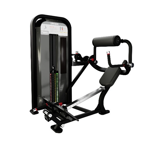 Impact Low Back Machine