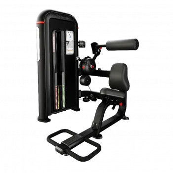 Inspiration Back Extension