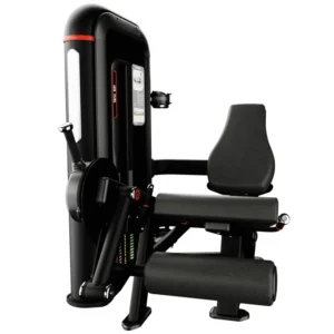 Inspiration Leg Extension