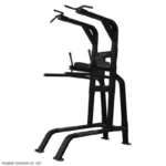 Pull Up Dip Leg Raise