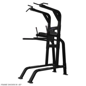 Pull Up Dip Leg Raise