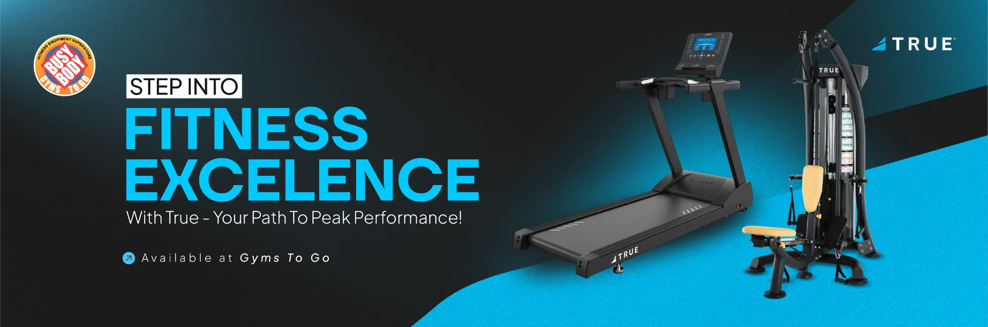 TRUE Fitness Z500 Treadmill