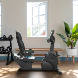 Performance Recumbent Bike