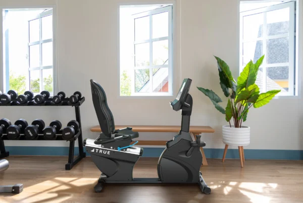 Performance Recumbent Bike