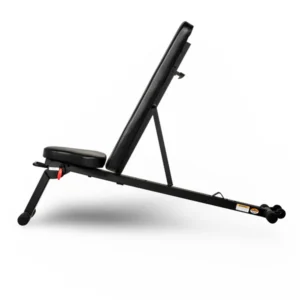Workout Bench